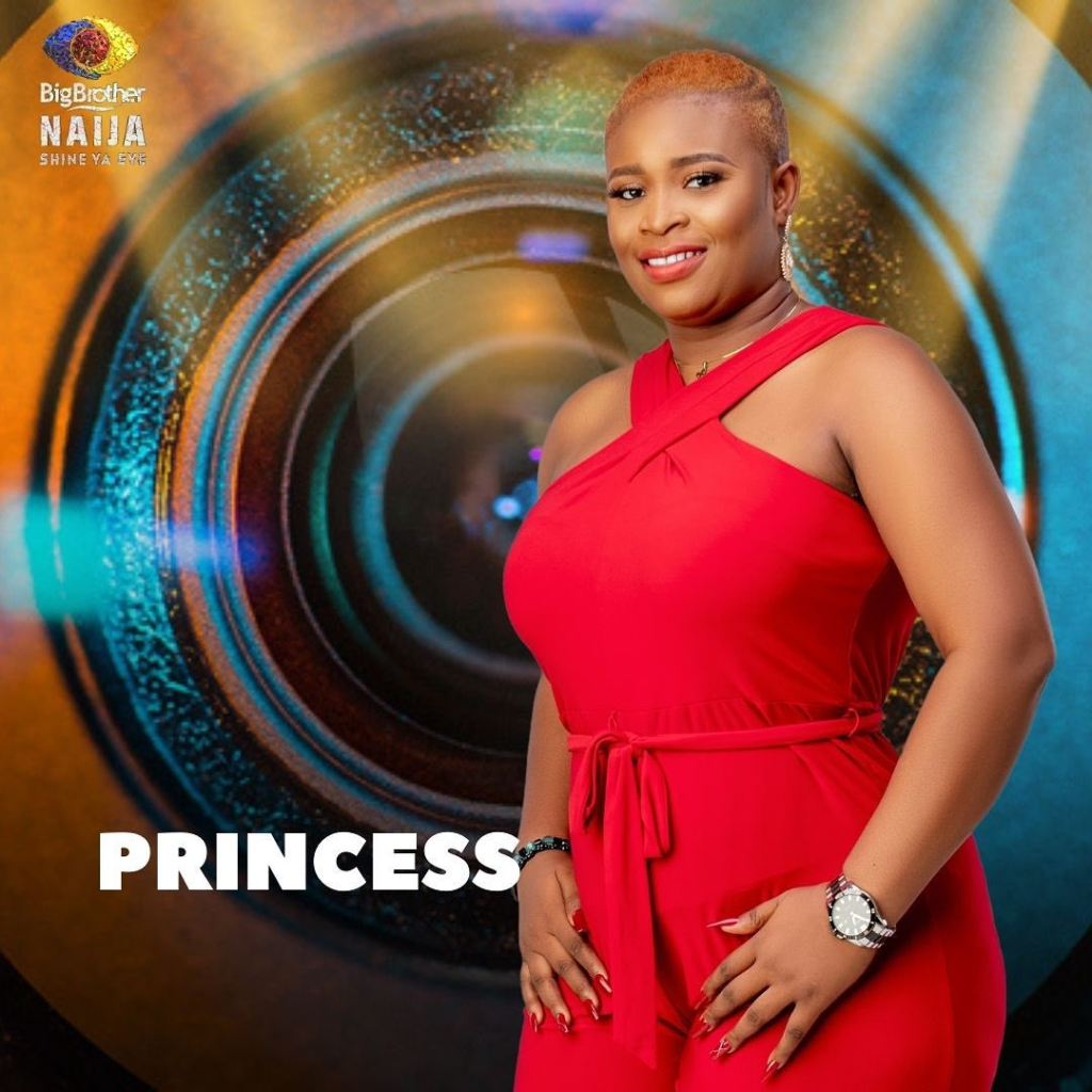 BBNaija Season 6 - The Female Housemates-princess-nigeria cast-bbnaija